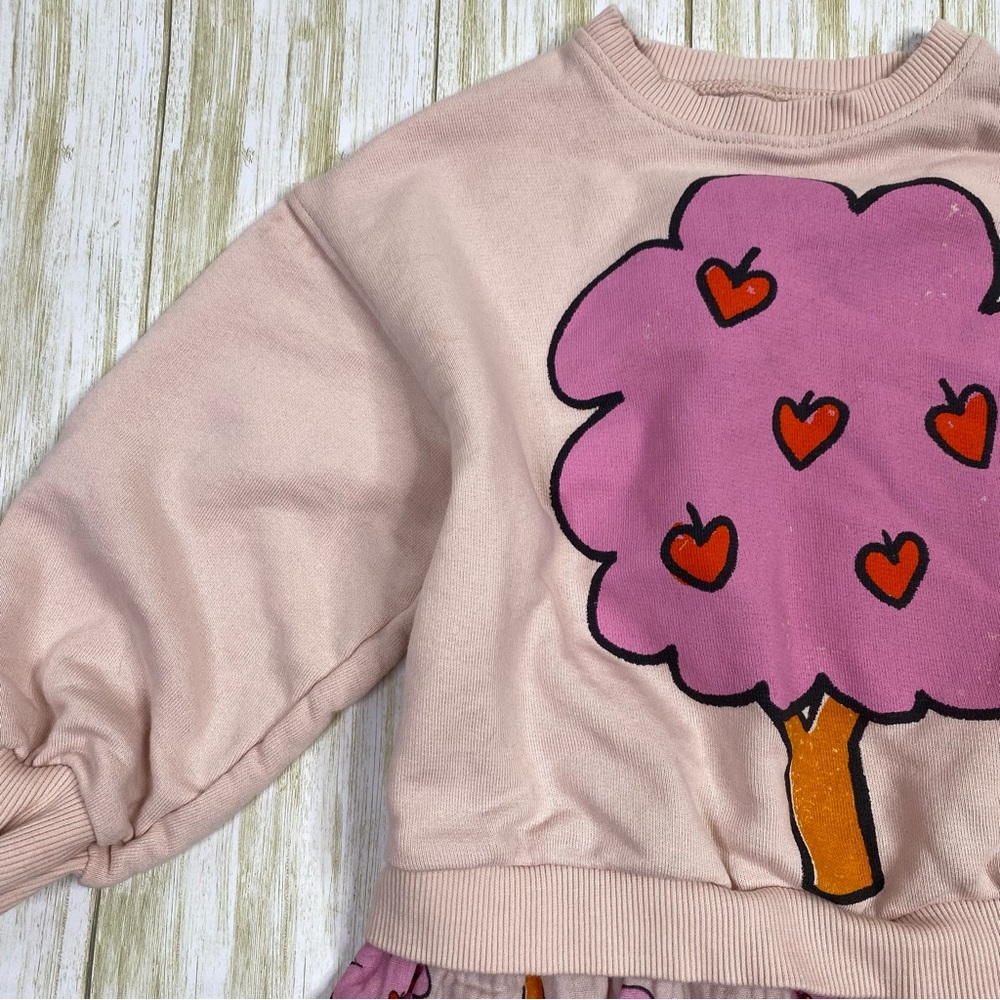 Zara Kids Pink Contrasting Apple Long Sleeve Dress - Picture 2 of 7